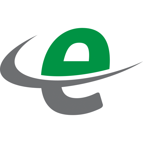 E-Audit