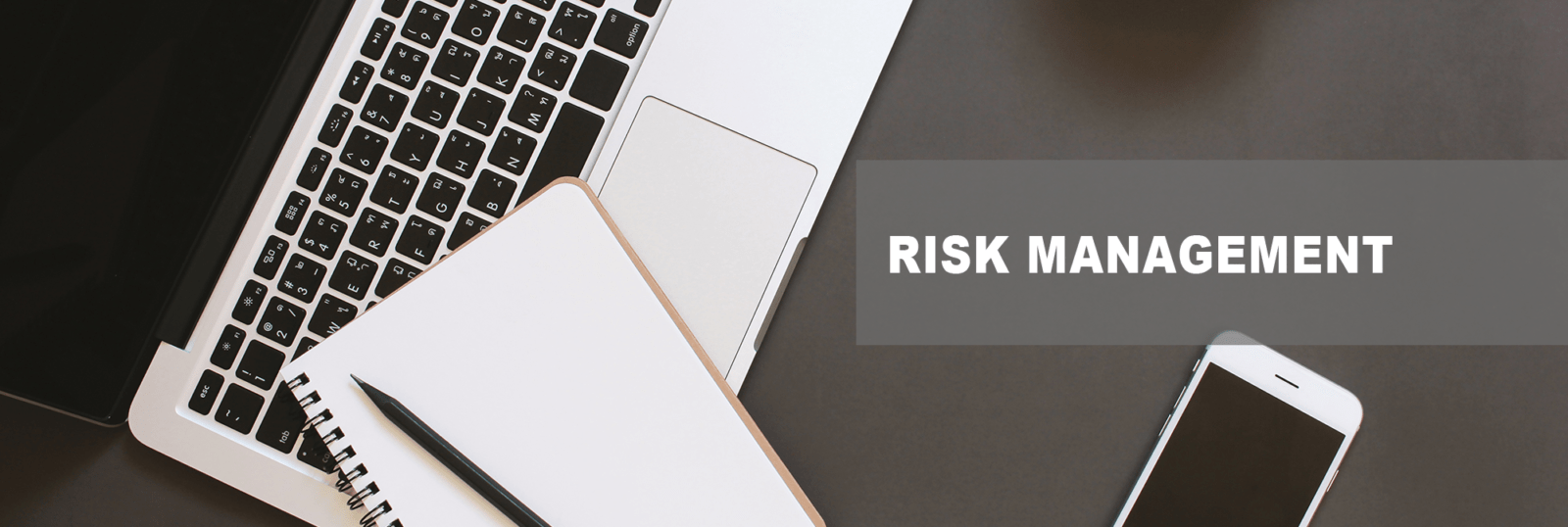 risk management
